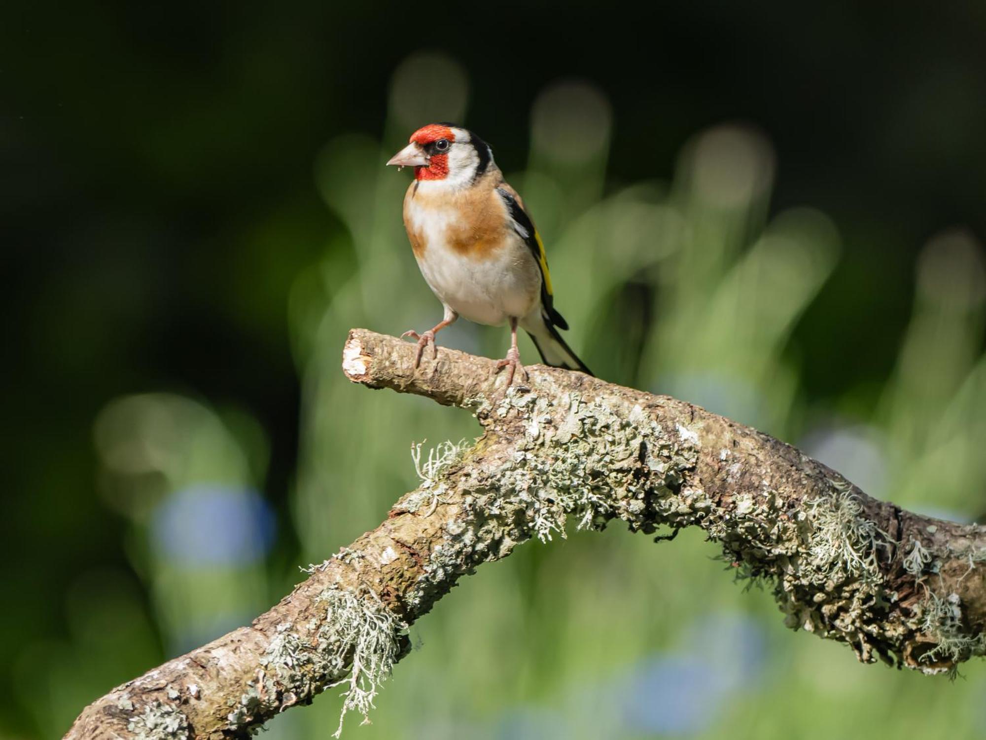 Wildwood B&B Lymington Kültér fotó