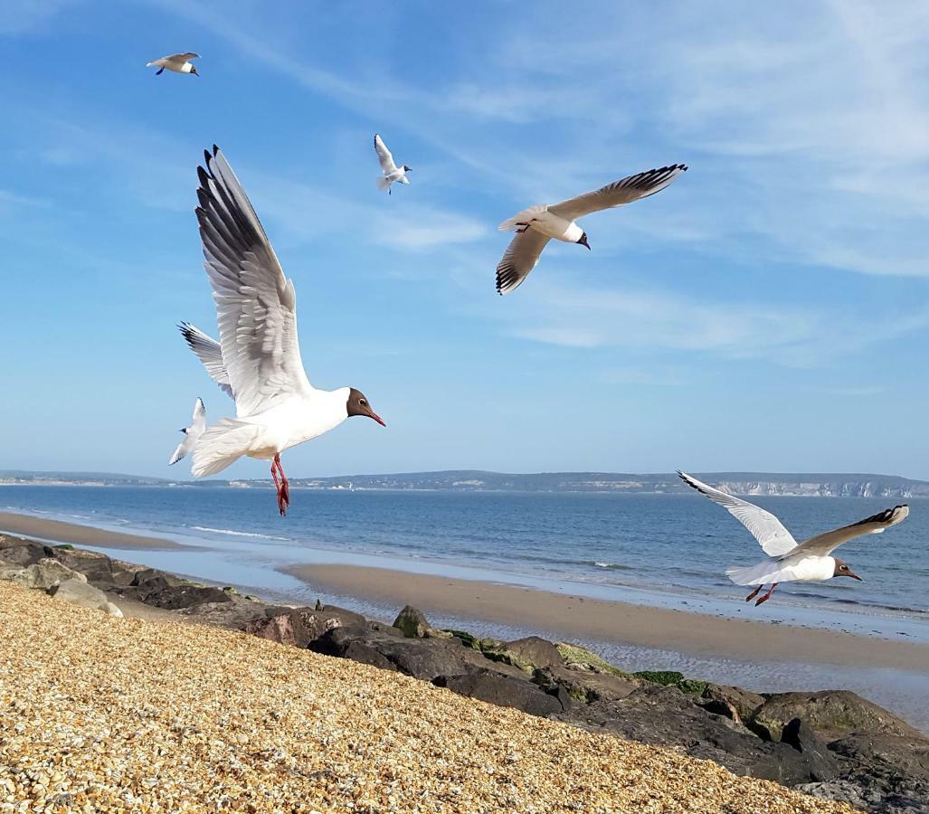 Wildwood B&B Lymington Kültér fotó